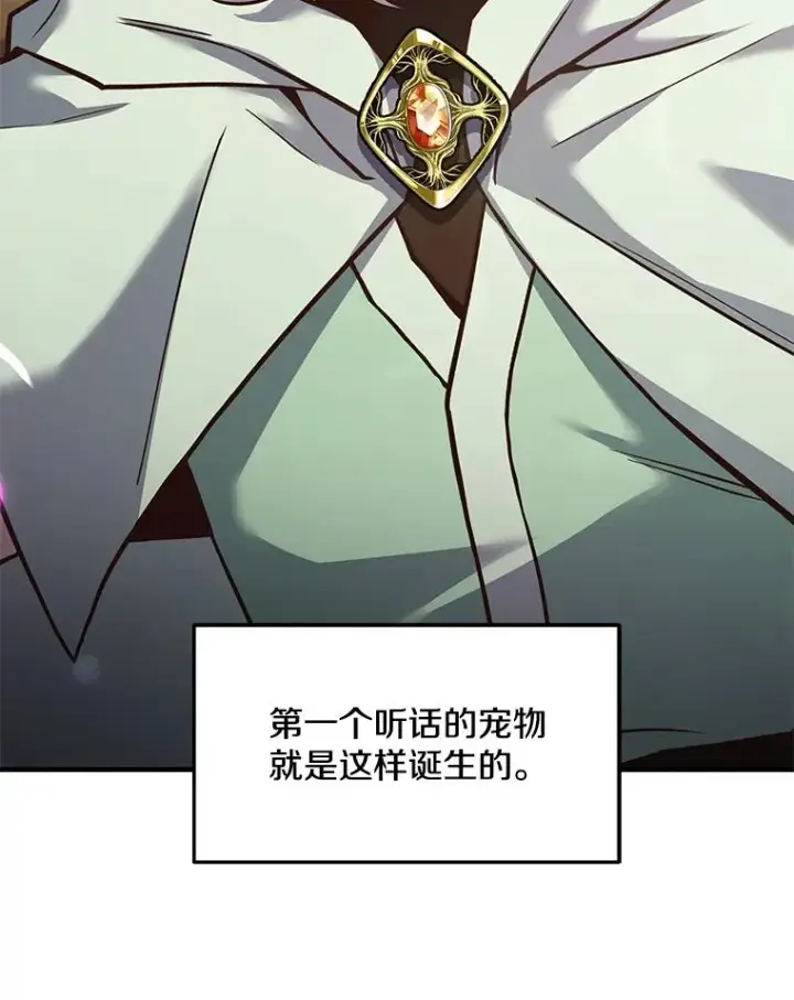 漫画《史诗级枪骑士再临》92.第一个宠物第172张图