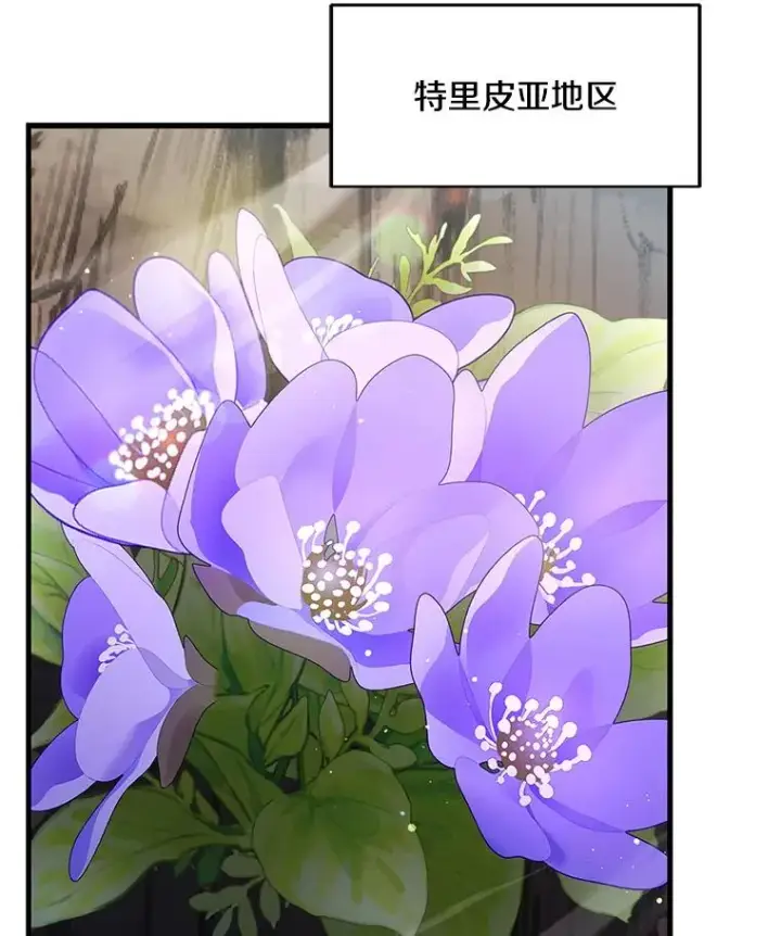 《史诗级枪骑士再临》93.森德斯花图142