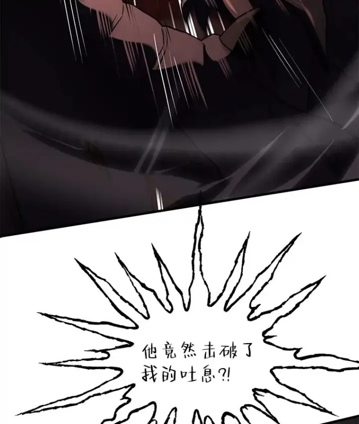 《史诗级枪骑士再临》94.幻象图154