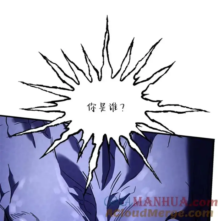 《史诗级枪骑士再临》94.幻象图33