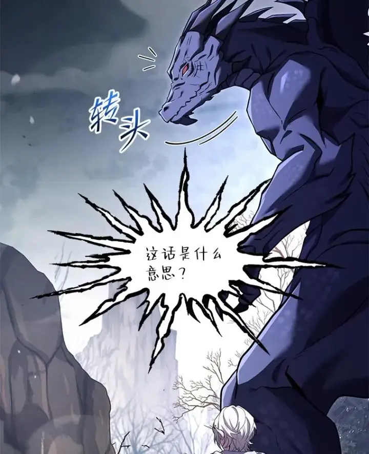 《史诗级枪骑士再临》94.幻象图38