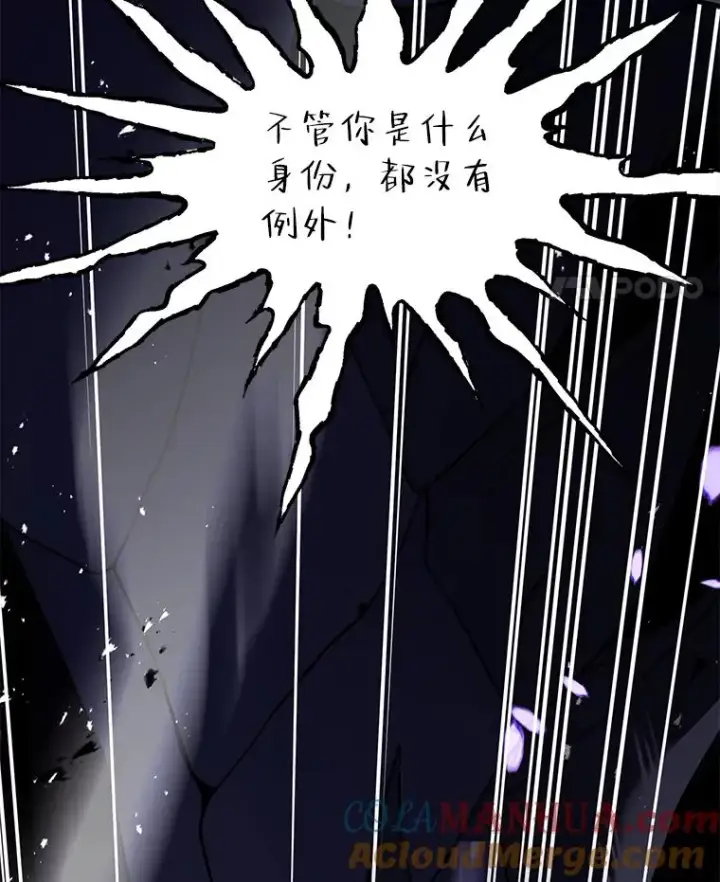 《史诗级枪骑士再临》94.幻象图53