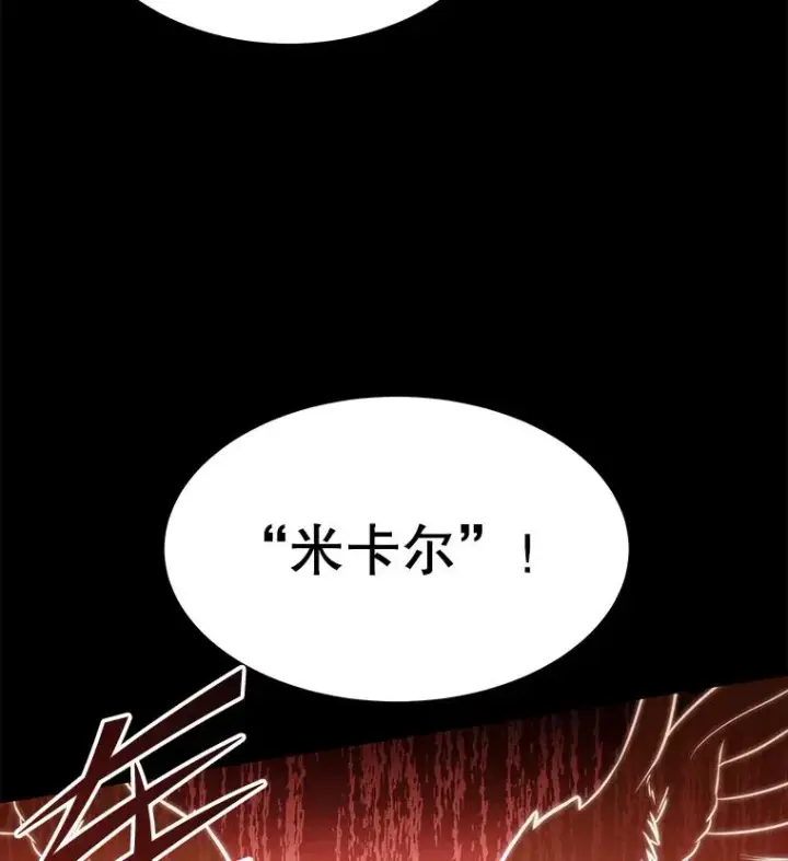 《史诗级枪骑士再临》94.幻象图96