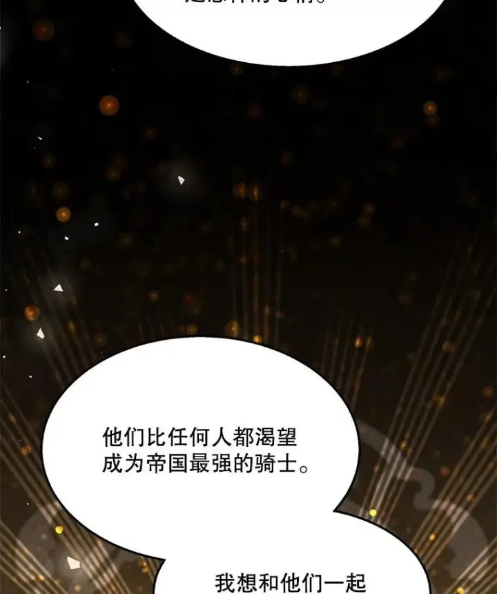 《史诗级枪骑士再临》97.独立骑士团图79