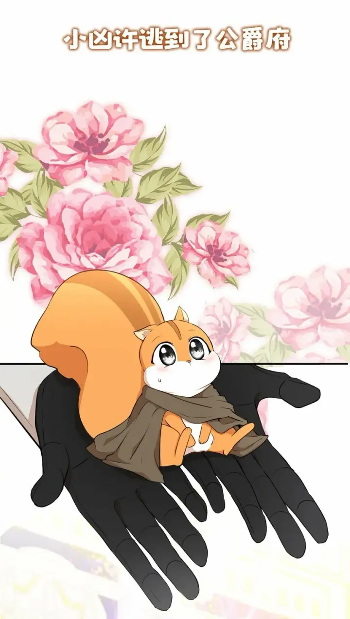 漫画《狮子公爵家的松鼠千金》序章 小松鼠冲鸭！第9张图