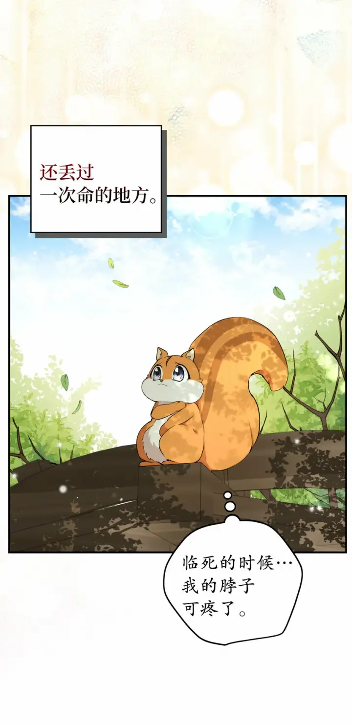 漫画《狮子公爵家的松鼠千金》2 可恶的叛徒第69张图