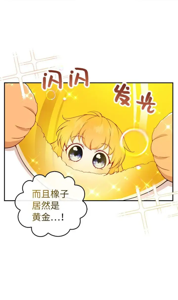 漫画《狮子公爵家的松鼠千金》21 被误解的礼物第11张图