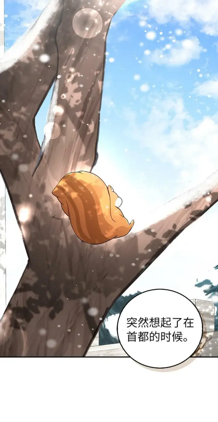 漫画《狮子公爵家的松鼠千金》22 “甜蜜的祝福”第45张图
