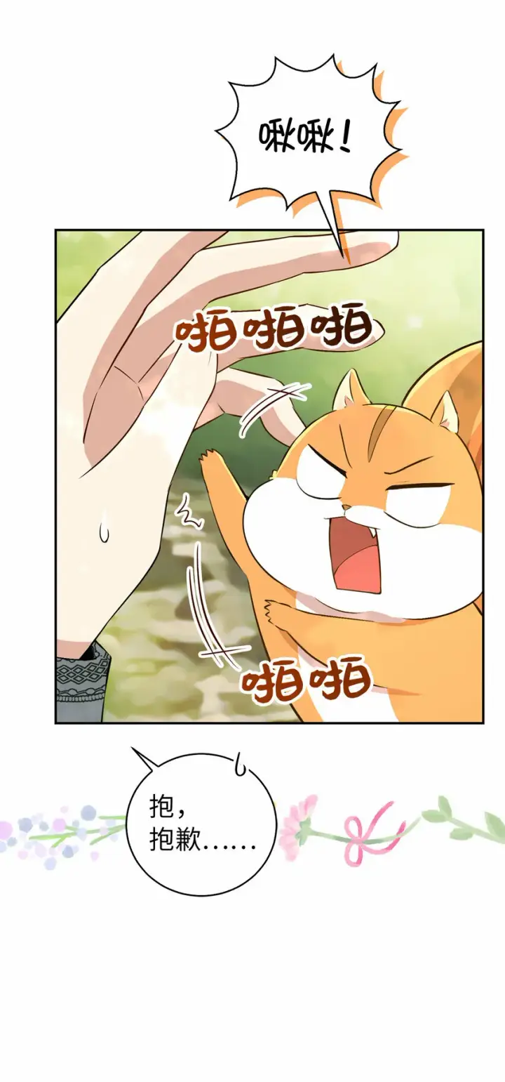 漫画《狮子公爵家的松鼠千金》29 小毛球一般的妹妹第36张图