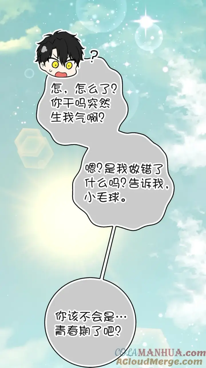 漫画《狮子公爵家的松鼠千金》61 帅气的宣示仪式第76张图
