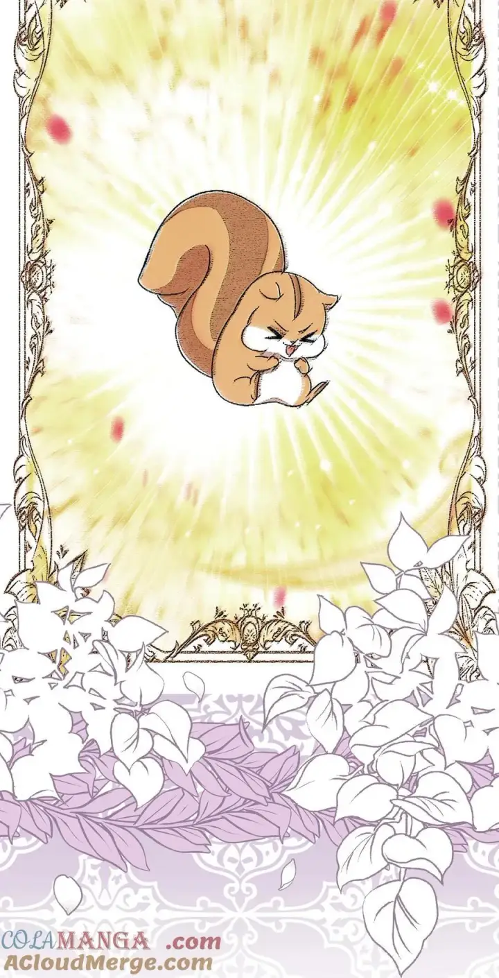 漫画《狮子公爵家的松鼠千金》74 松鼠兽人的能力第19张图