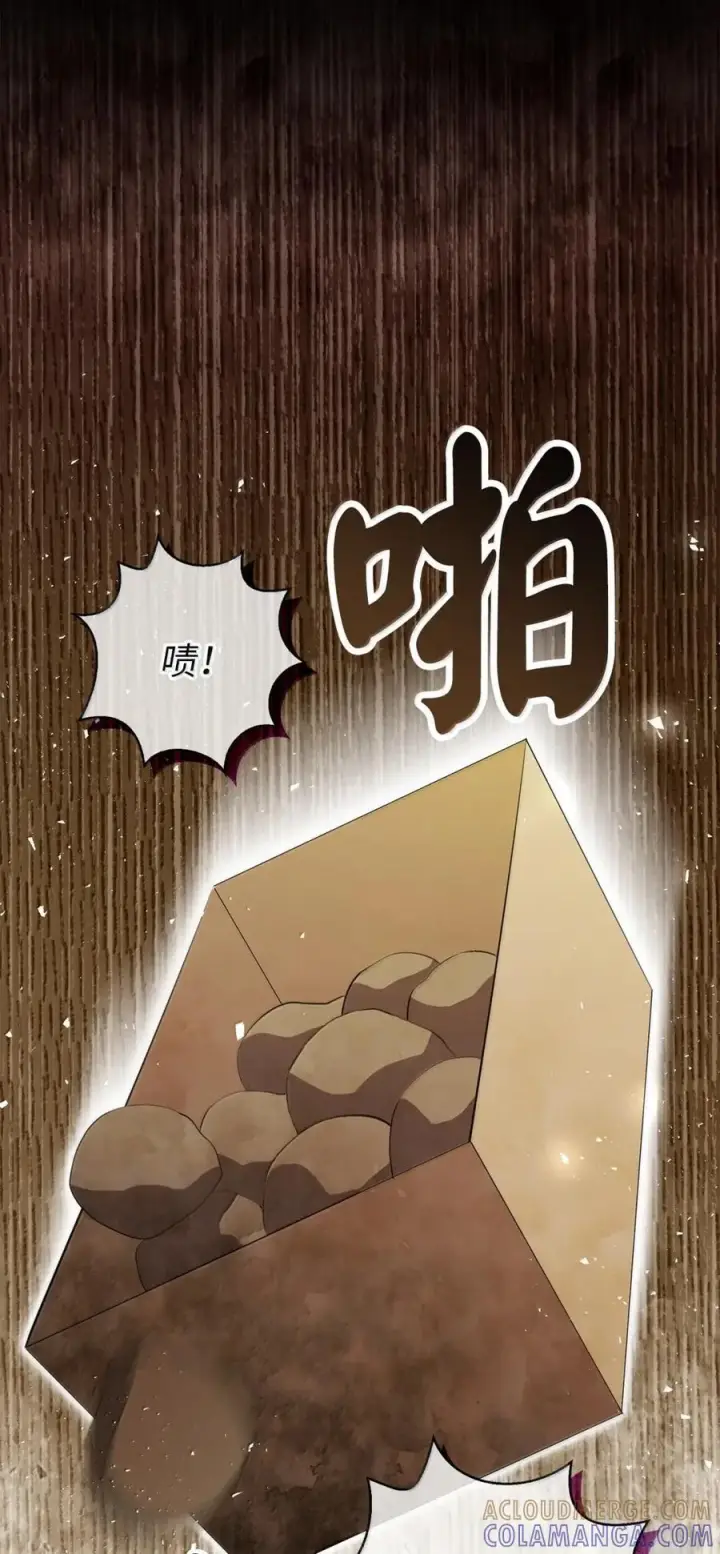 漫画《狮子公爵家的松鼠千金》98 公开审判第34张图