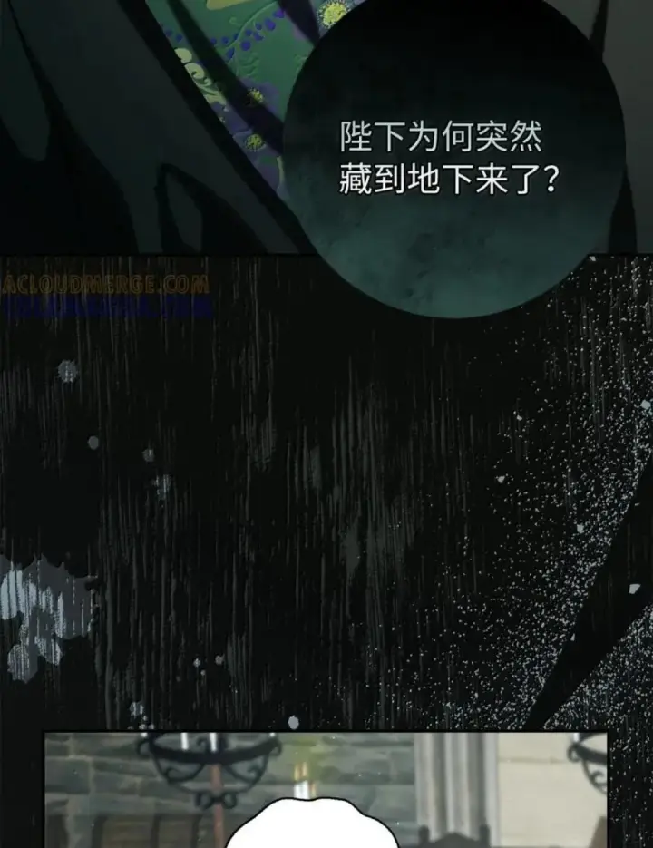 漫画《狮子公爵家的松鼠千金》104 小姐被劫走了！第101张图