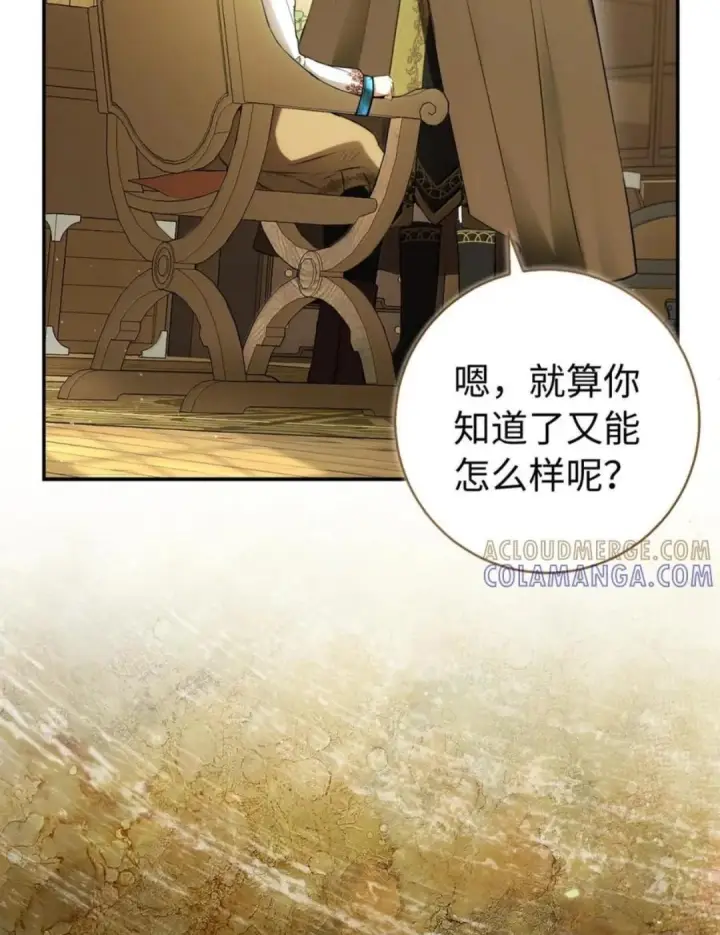 漫画《狮子公爵家的松鼠千金》104 小姐被劫走了！第30张图