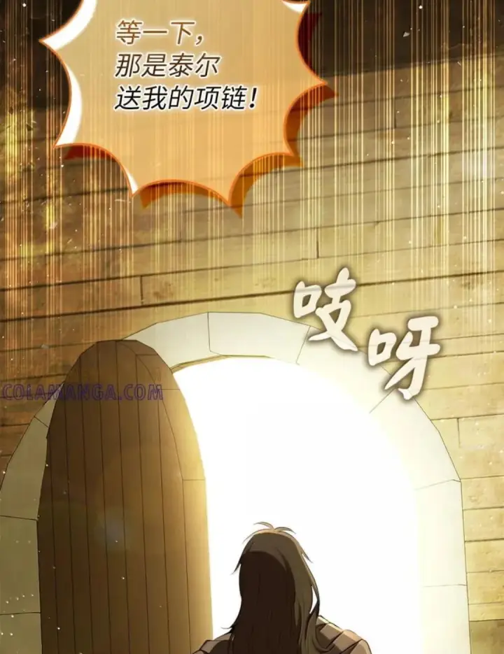 漫画《狮子公爵家的松鼠千金》104 小姐被劫走了！第37张图