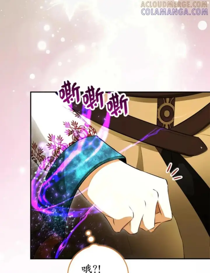 漫画《狮子公爵家的松鼠千金》104 小姐被劫走了！第45张图