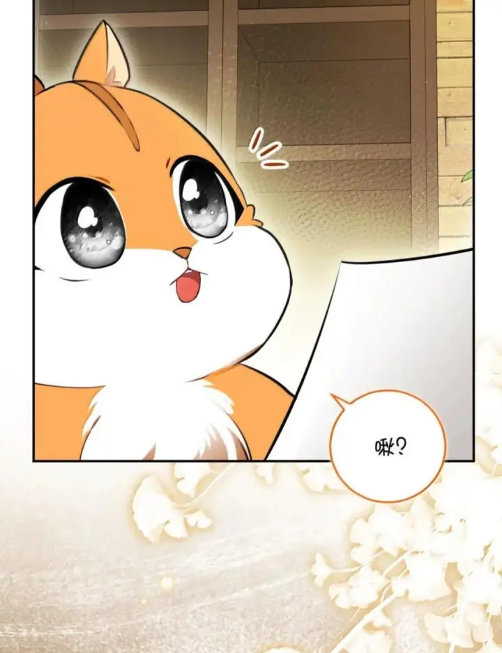 漫画《狮子公爵家的松鼠千金》104 小姐被劫走了！第75张图