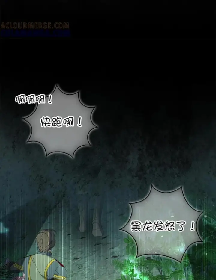 漫画《狮子公爵家的松鼠千金》109 黑龙发怒了！第94张图