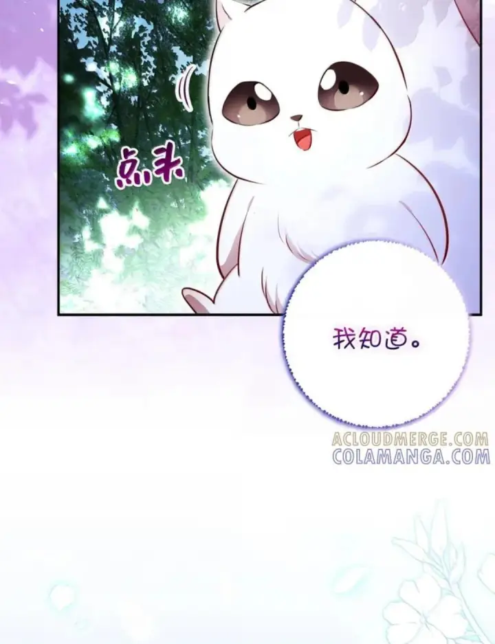 漫画《狮子公爵家的松鼠千金》110 你是逆鳞第91张图