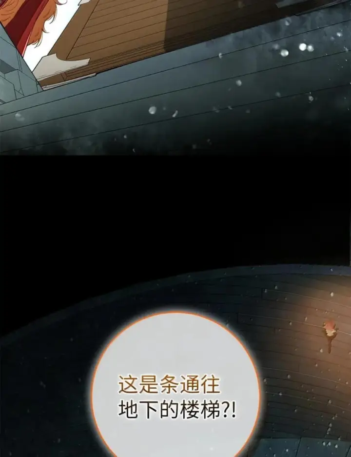 漫画《狮子公爵家的松鼠千金》111 通往神秘的楼梯第117张图