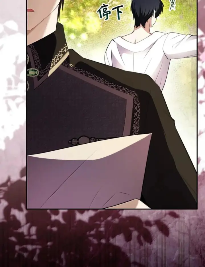 漫画《狮子公爵家的松鼠千金》112 他们把我妹妹当什么了！第102张图