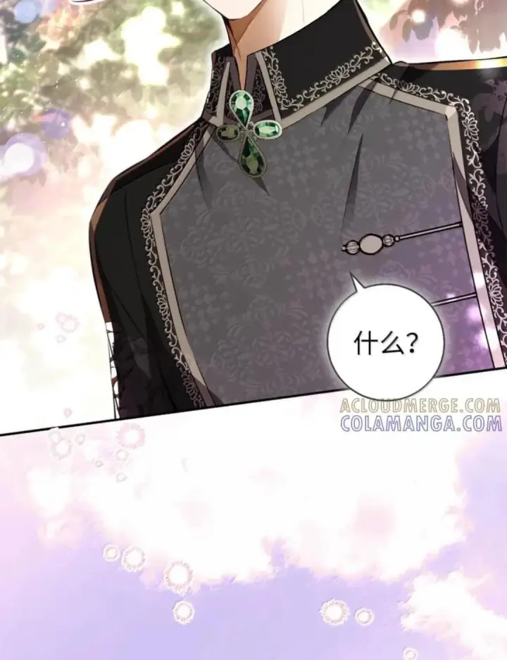 漫画《狮子公爵家的松鼠千金》112 他们把我妹妹当什么了！第67张图