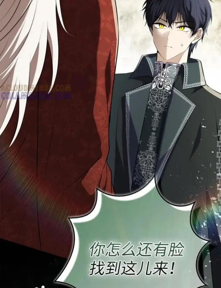 漫画《狮子公爵家的松鼠千金》114 都怪我第137张图