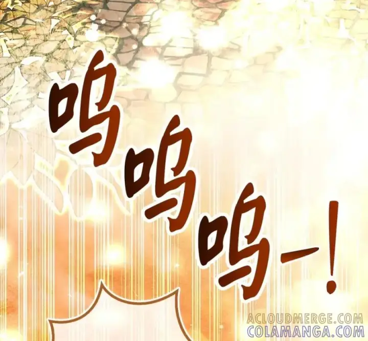 漫画《狮子公爵家的松鼠千金》118 谁让你骗我的第57张图