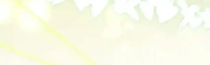 漫画《狮子公爵家的松鼠千金》番外7 前往东大陆第151张图