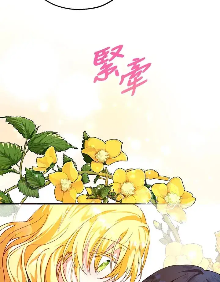 漫画《收养的儿媳准备弃养了》第10话第82张图