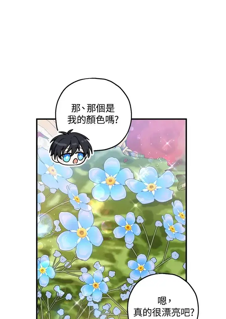 漫画《收养的儿媳准备弃养了》第21话第71张图