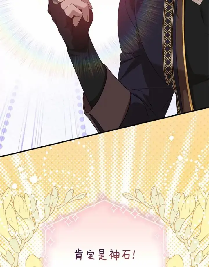 漫画《收养的儿媳准备弃养了》64.神石第100张图