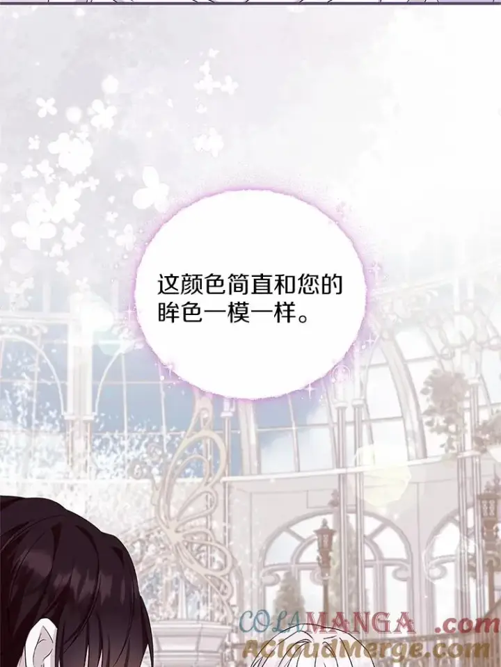 漫画《收养的儿媳准备弃养了》64.神石第25张图