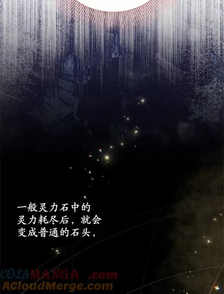 漫画《收养的儿媳准备弃养了》64.神石第29张图