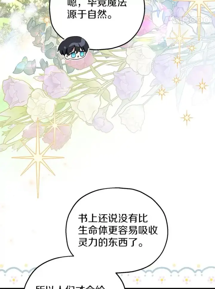 漫画《收养的儿媳准备弃养了》64.神石第63张图
