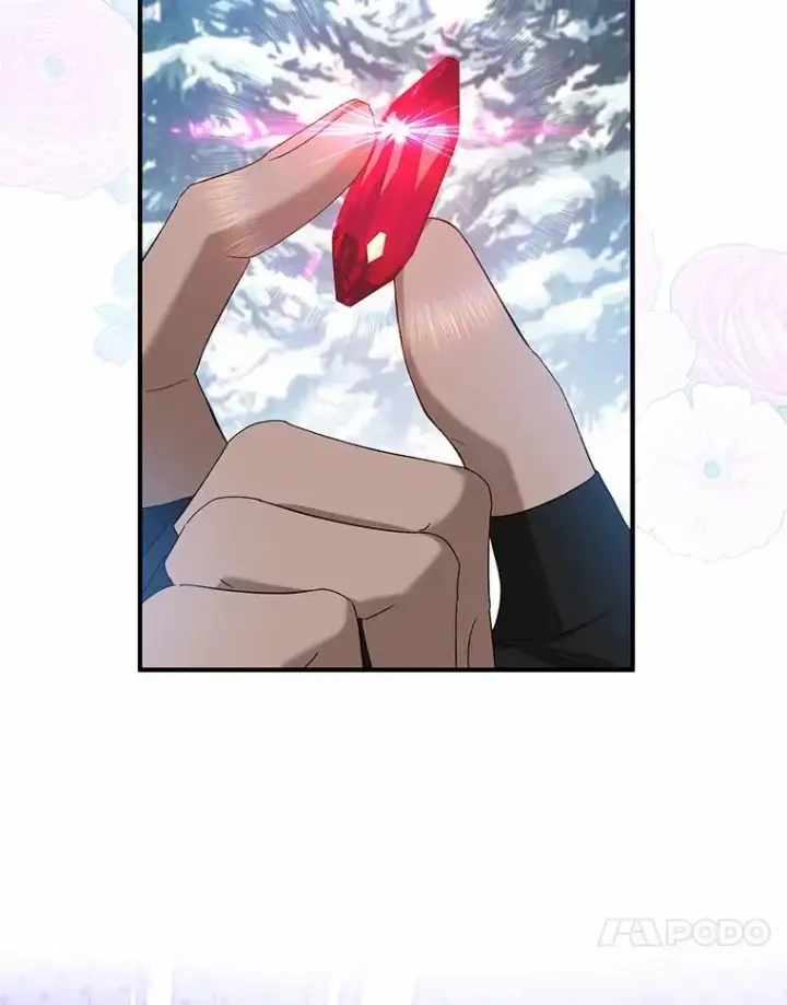 漫画《收养的儿媳准备弃养了》64.神石第98张图