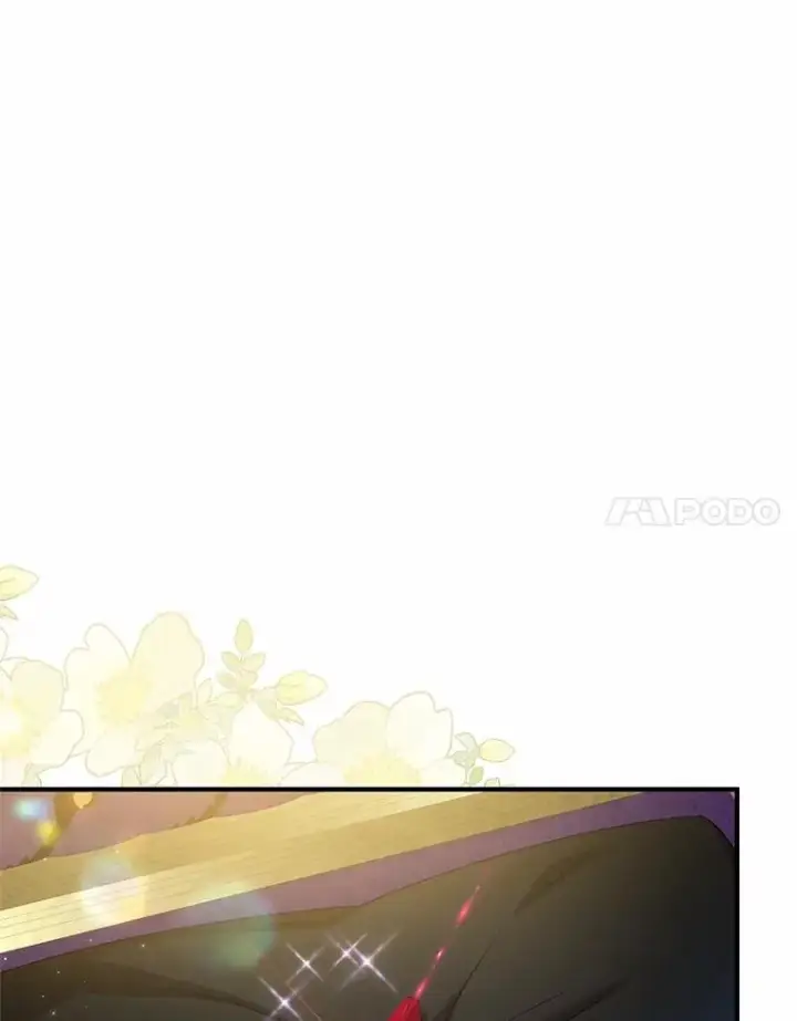 《收养的儿媳准备弃养了》65.曾经的红宝石图22