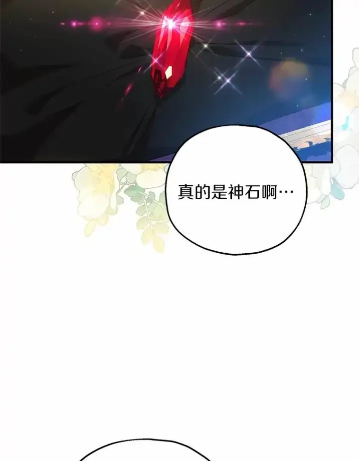 《收养的儿媳准备弃养了》65.曾经的红宝石图23