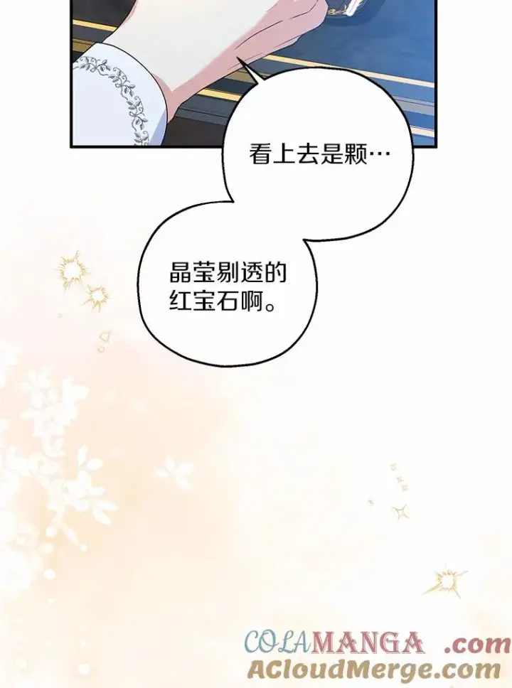 《收养的儿媳准备弃养了》65.曾经的红宝石图69