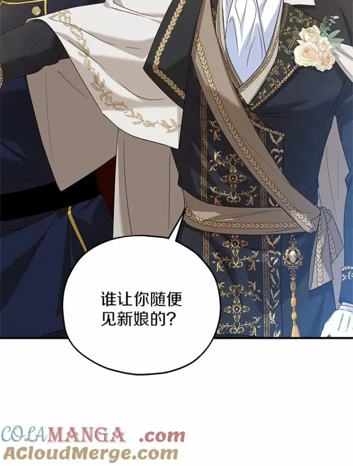 漫画《收养的儿媳准备弃养了》66.结婚典礼第29张图