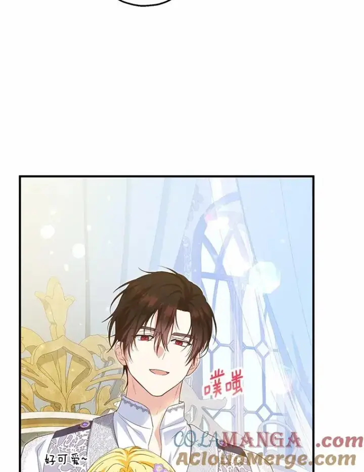 《收养的儿媳准备弃养了》70.皇室邀请图29