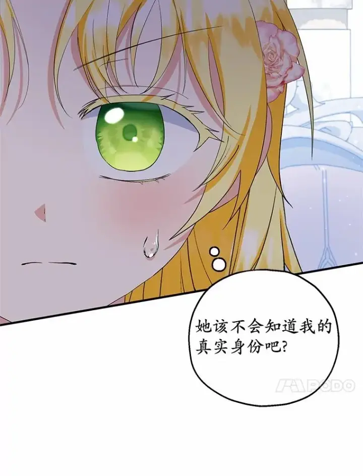《收养的儿媳准备弃养了》71.落魄的公主图39