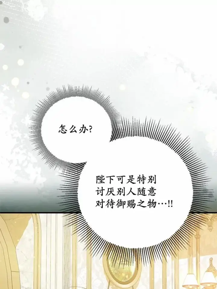 《收养的儿媳准备弃养了》74.不会扔下你图100