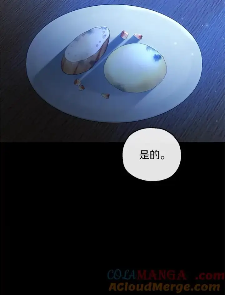 《收养的儿媳准备弃养了》76.这是神石图13