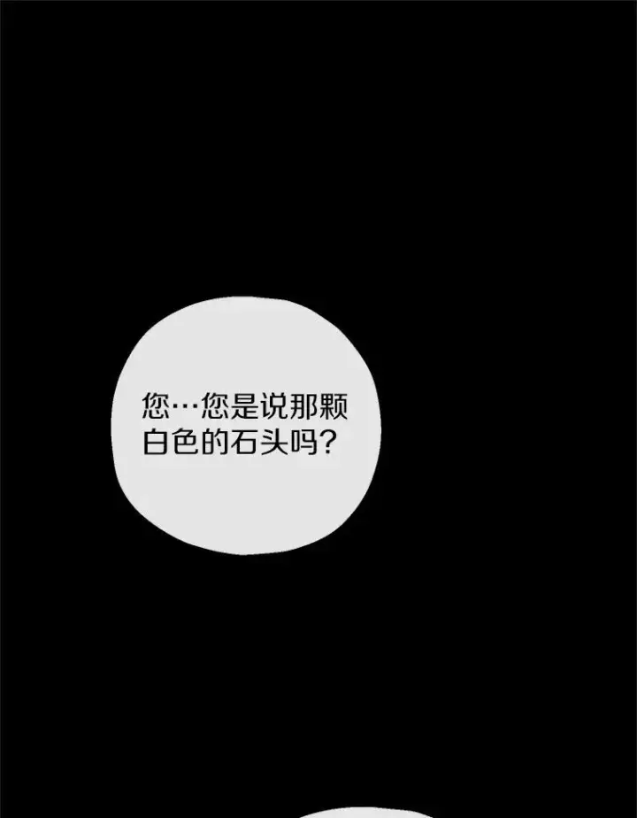 《收养的儿媳准备弃养了》76.这是神石图16