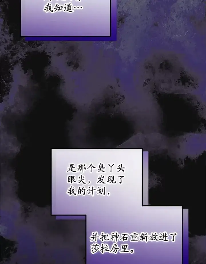 《收养的儿媳准备弃养了》76.这是神石图26