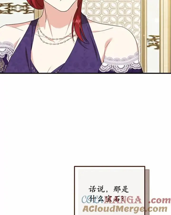《收养的儿媳准备弃养了》76.这是神石图33