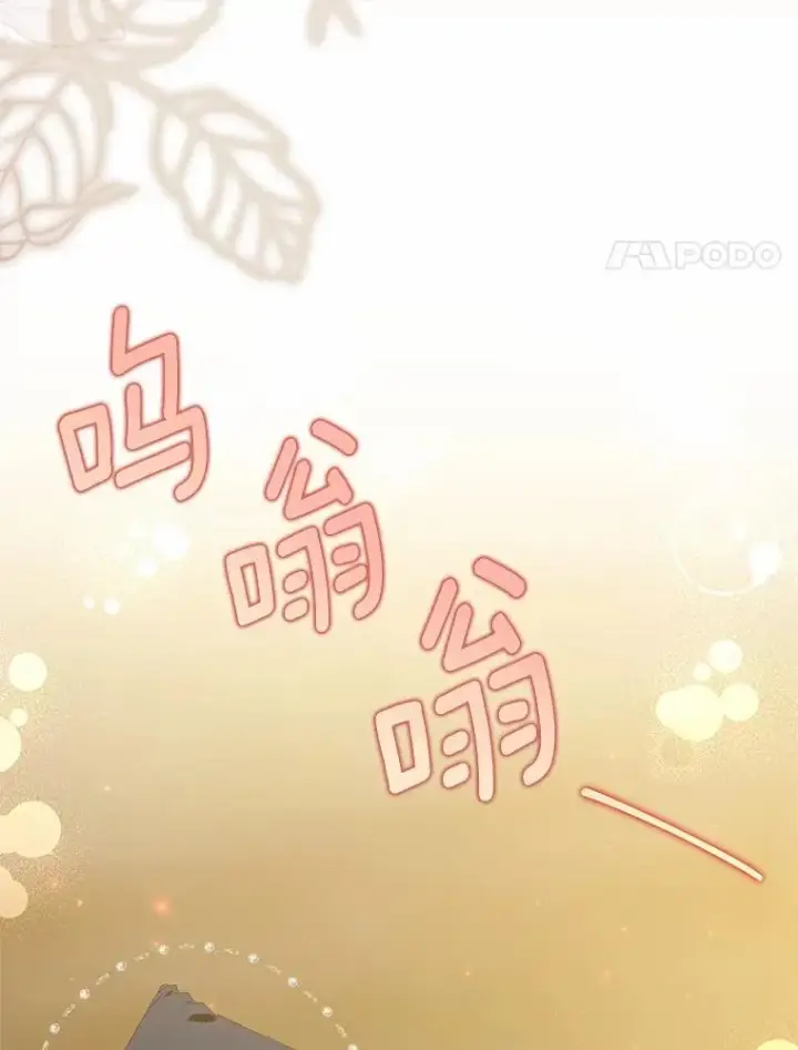 《收养的儿媳准备弃养了》76.这是神石图44
