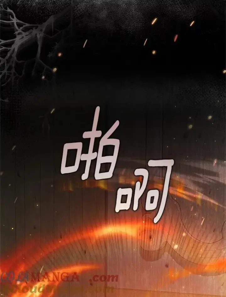 《收养的儿媳准备弃养了》76.这是神石图49