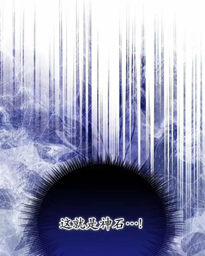 《收养的儿媳准备弃养了》76.这是神石图59